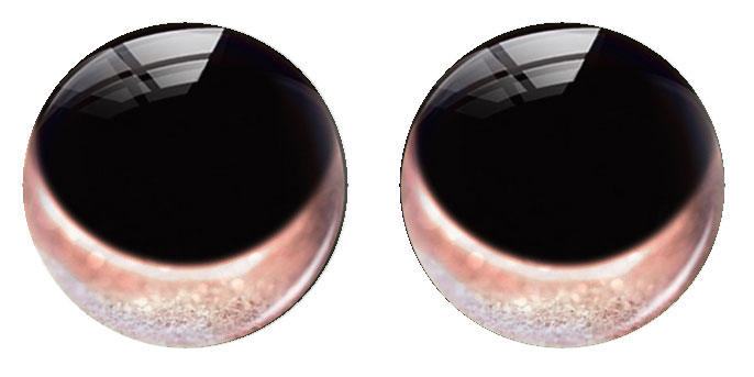 Olhos de Brinquedo Redondos Ar - Art Craft Eyes avaliação e preço